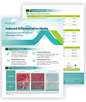 Induced Differentiation Media (2606)